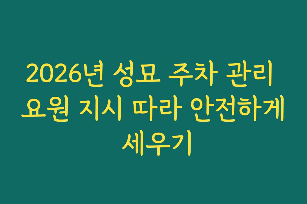 2026년 성묘 주차 관리 요원 지시 따라 안전하게 세우기