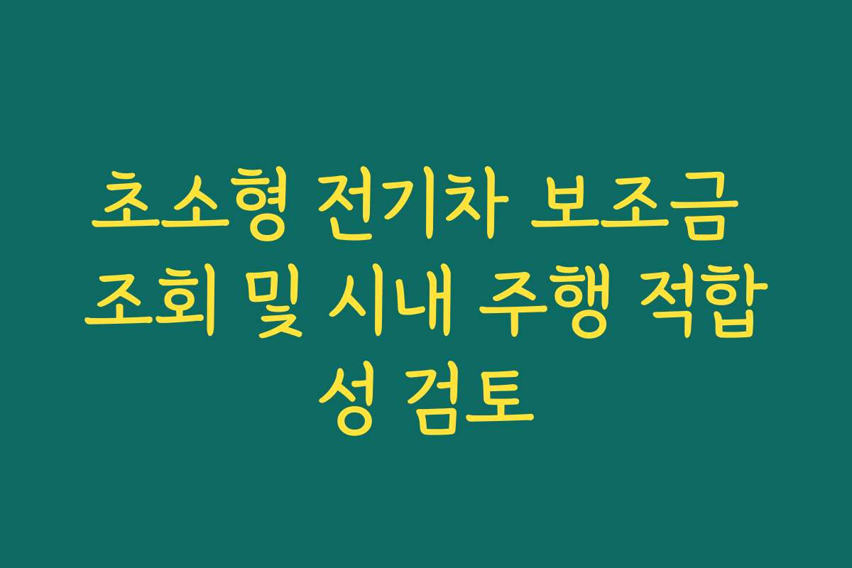 초소형 전기차 보조금 조회 및 시내 주행 적합성 검토