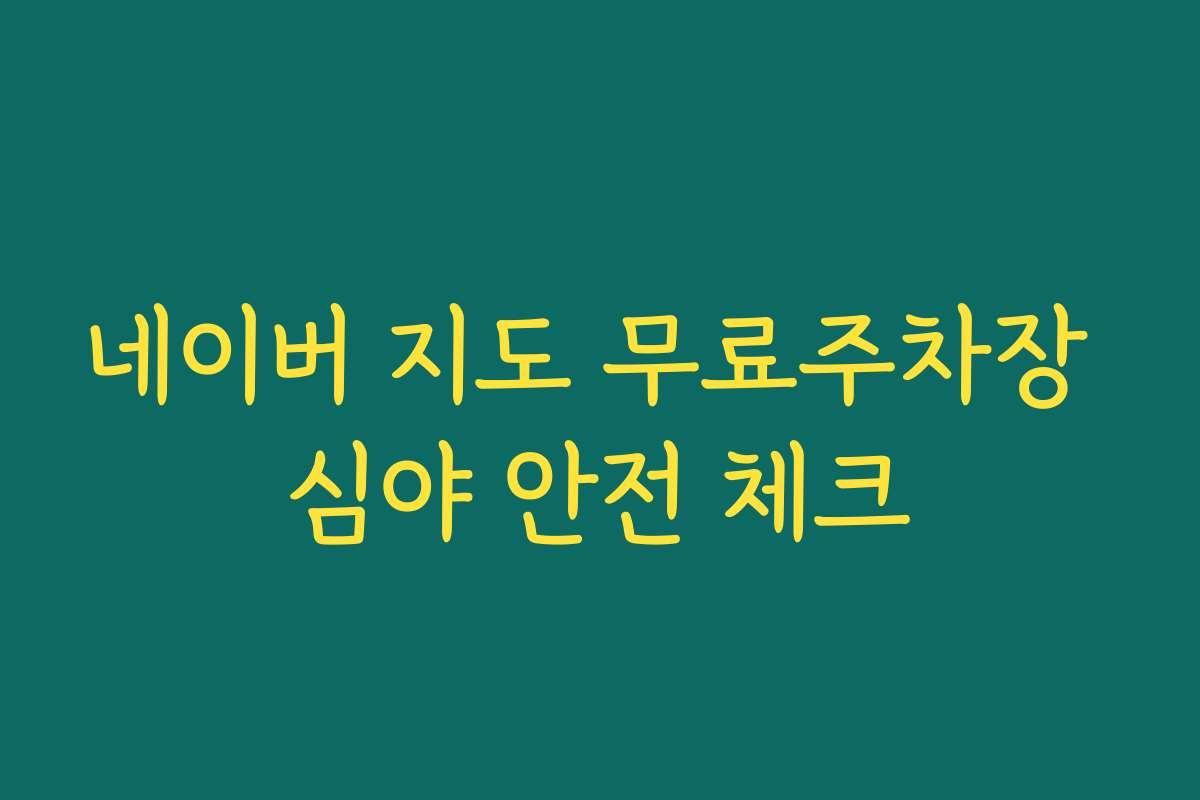 네이버 지도 무료주차장 심야 안전 체크
