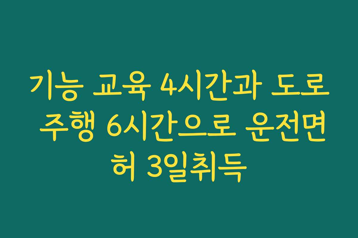 기능 교육 4시간과 도로 주행 6시간으로 운전면허 3일취득
