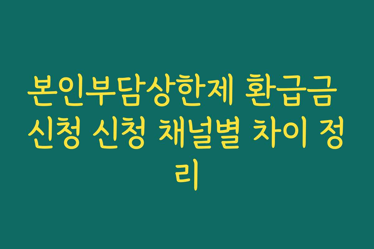 본인부담상한제 환급금 신청 신청 채널별 차이 정리