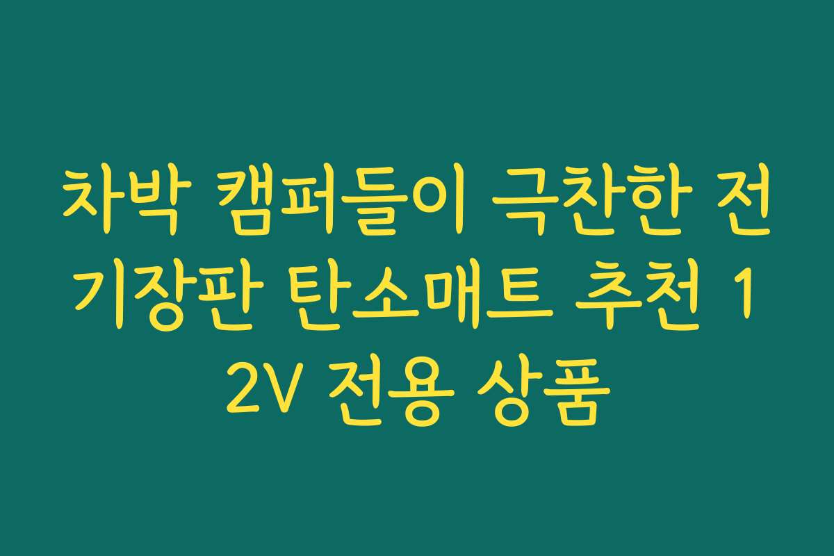 차박 캠퍼들이 극찬한 전기장판 탄소매트 추천 12V 전용 상품