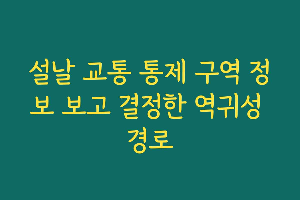 설날 교통 통제 구역 정보 보고 결정한 역귀성 경로