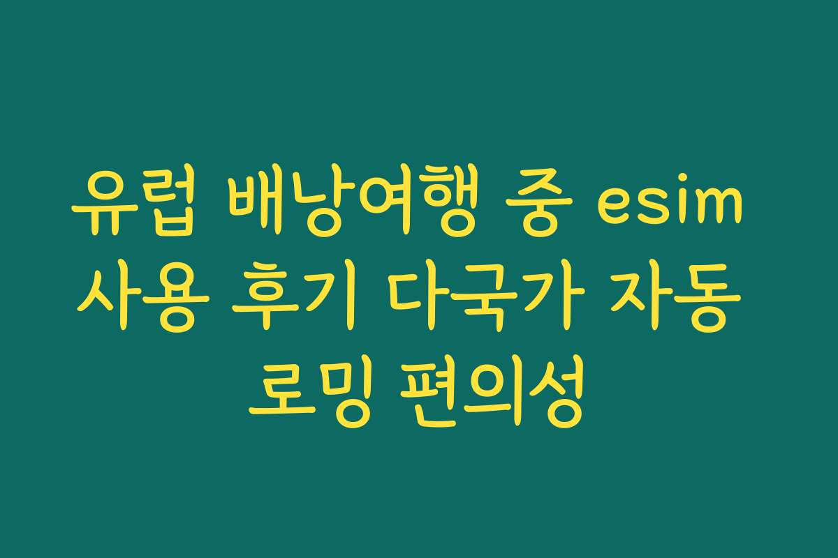 유럽 배낭여행 중 esim 사용 후기 다국가 자동 로밍 편의성