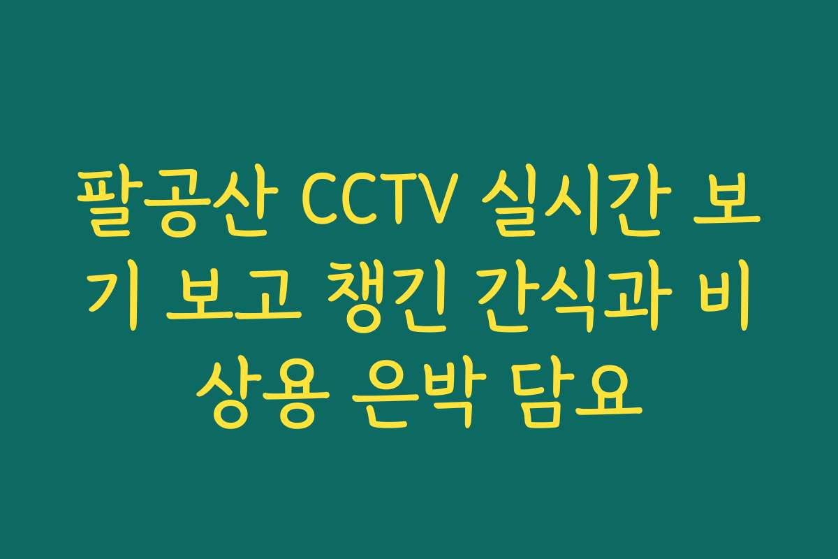 팔공산 CCTV 실시간 보기 보고 챙긴 간식과 비상용 은박 담요