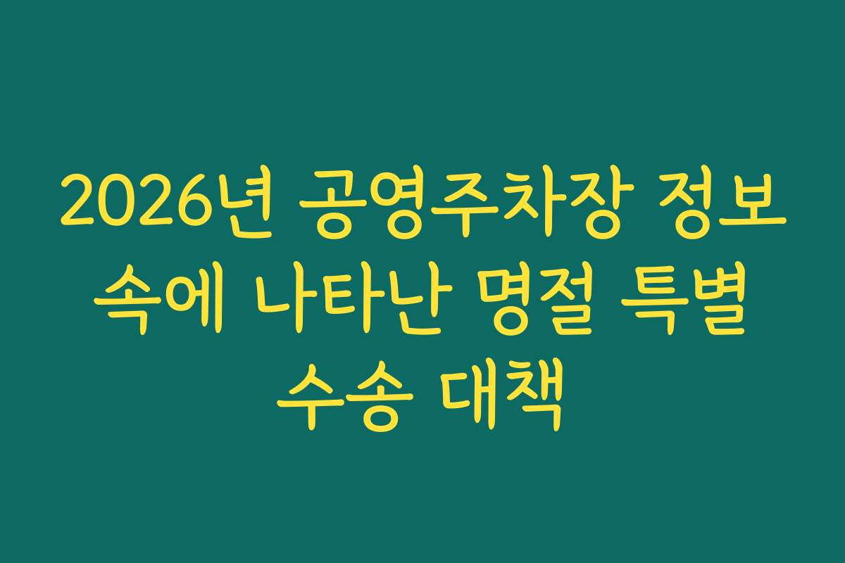 2026년 공영주차장 정보 속에 나타난 명절 특별 수송 대책