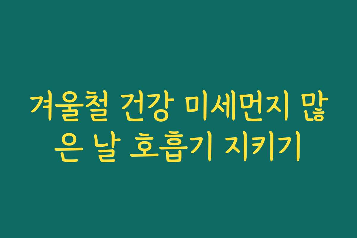 겨울철 건강 미세먼지 많은 날 호흡기 지키기