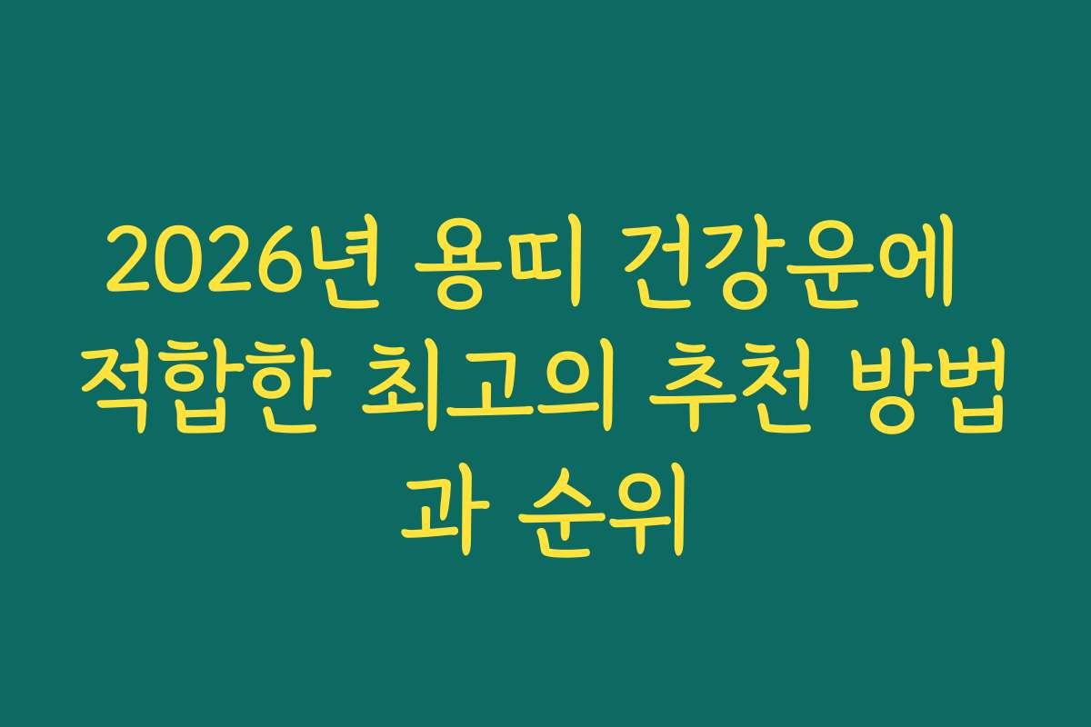 2026년 용띠 건강운에 적합한 최고의 추천 방법과 순위
