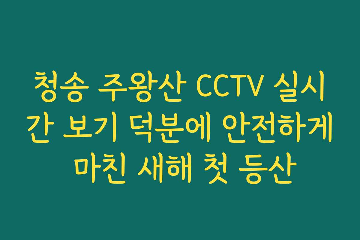 청송 주왕산 CCTV 실시간 보기 덕분에 안전하게 마친 새해 첫 등산