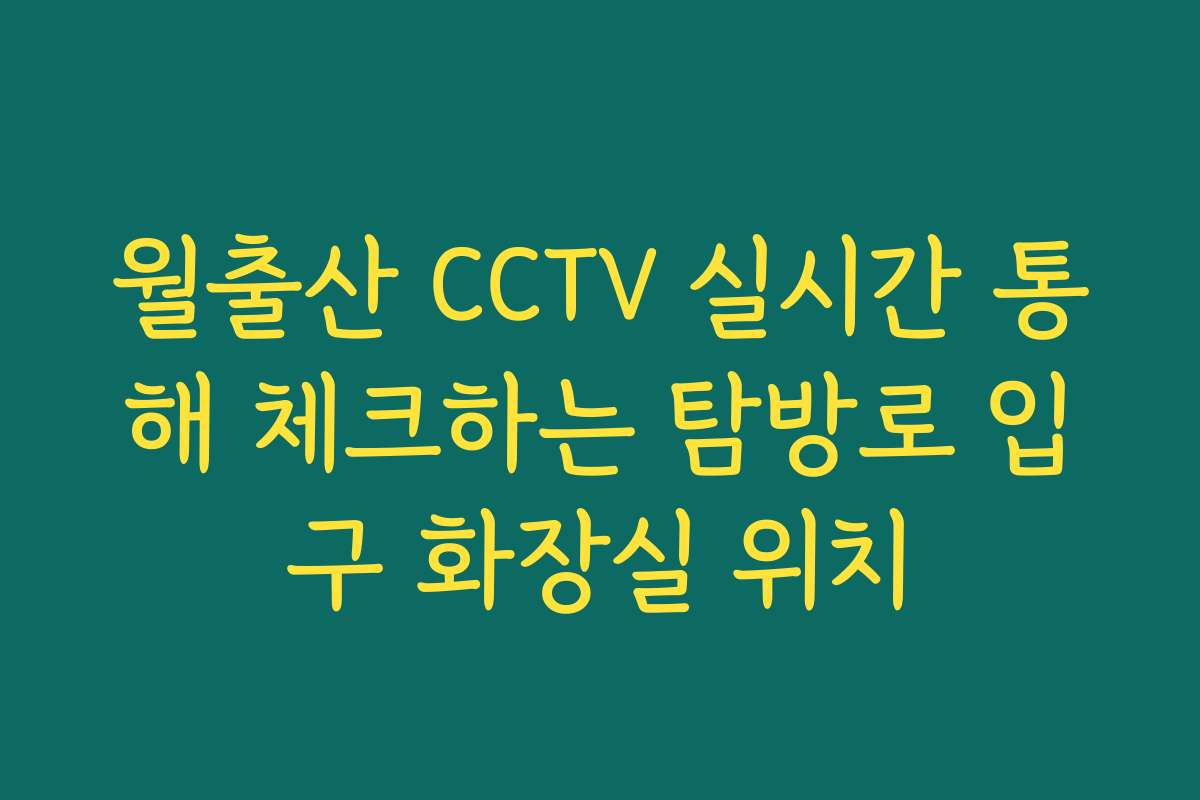 월출산 CCTV 실시간 통해 체크하는 탐방로 입구 화장실 위치
