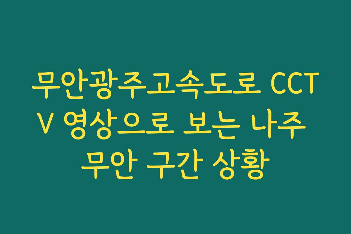 무안광주고속도로 CCTV 영상으로 보는 나주 무안 구간 상황