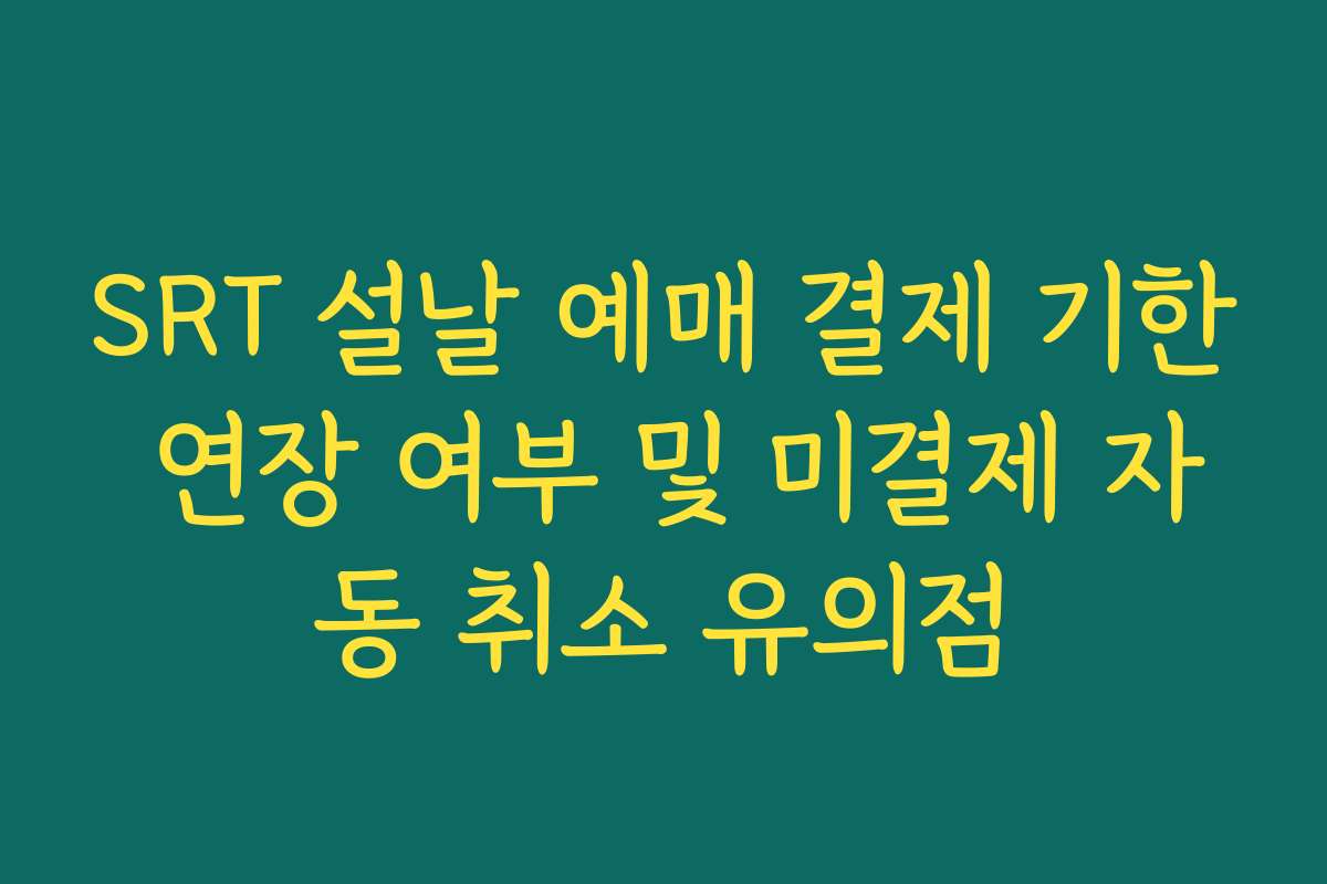 SRT 설날 예매 결제 기한 연장 여부 및 미결제 자동 취소 유의점
