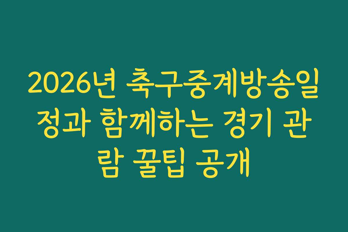 2026년 축구중계방송일정과 함께하는 경기 관람 꿀팁 공개