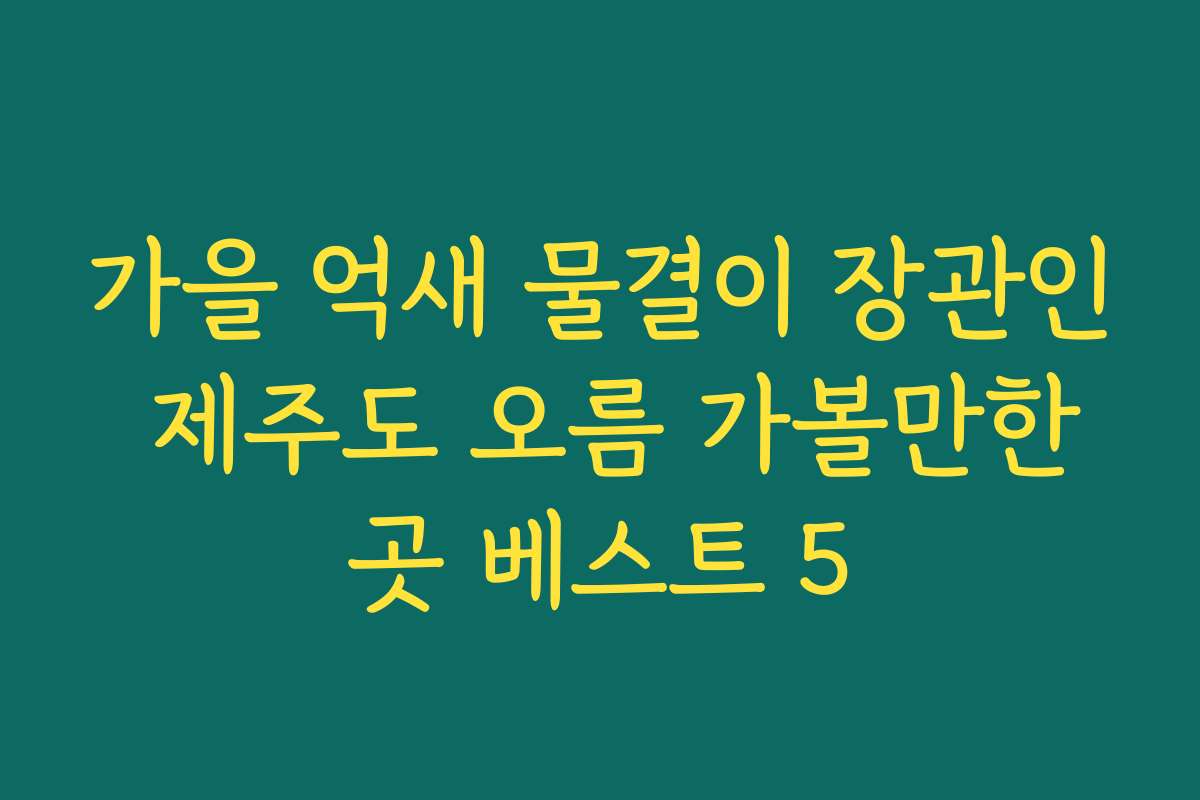 가을 억새 물결이 장관인 제주도 오름 가볼만한곳 베스트 5