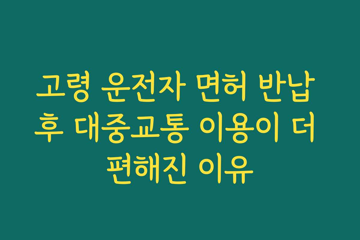 고령 운전자 면허 반납 후 대중교통 이용이 더 편해진 이유