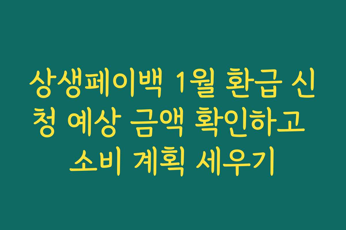 상생페이백 1월 환급 신청 예상 금액 확인하고 소비 계획 세우기
