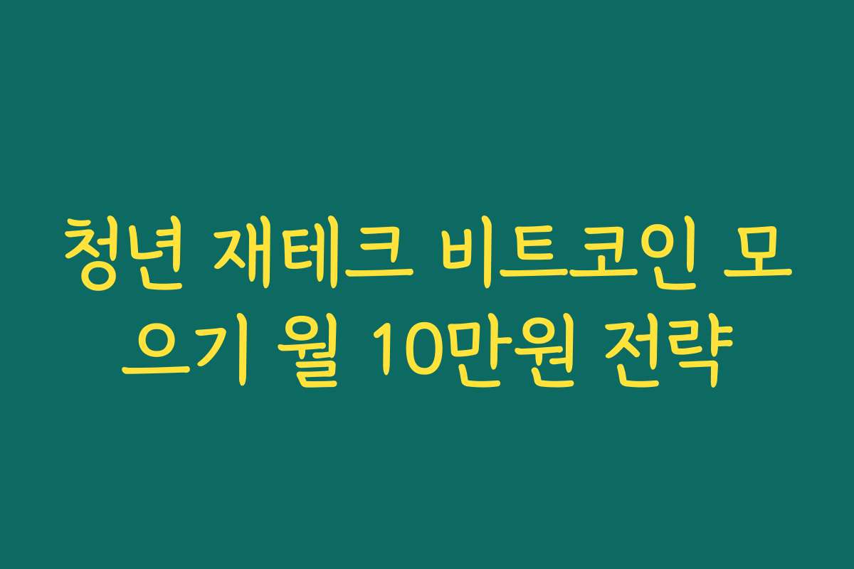 청년 재테크 비트코인 모으기 월 10만원 전략