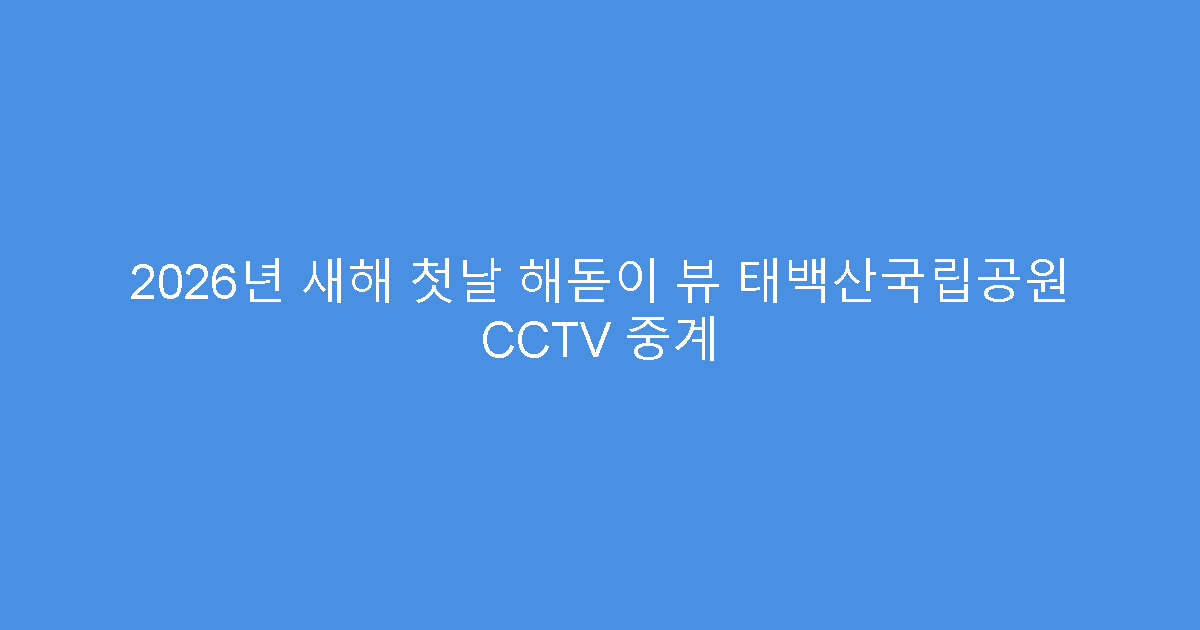 2026년 새해 첫날 해돋이 뷰 태백산국립공원 CCTV 중계