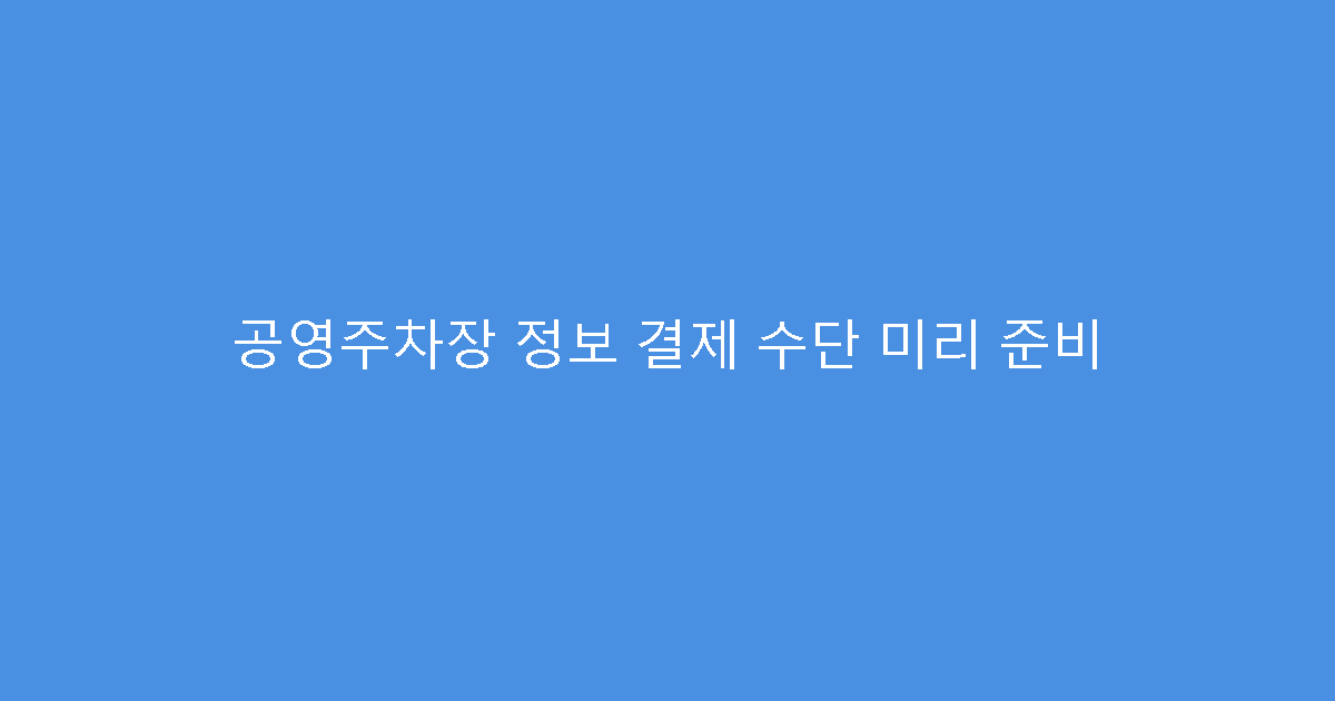 공영주차장 정보 결제 수단 미리 준비