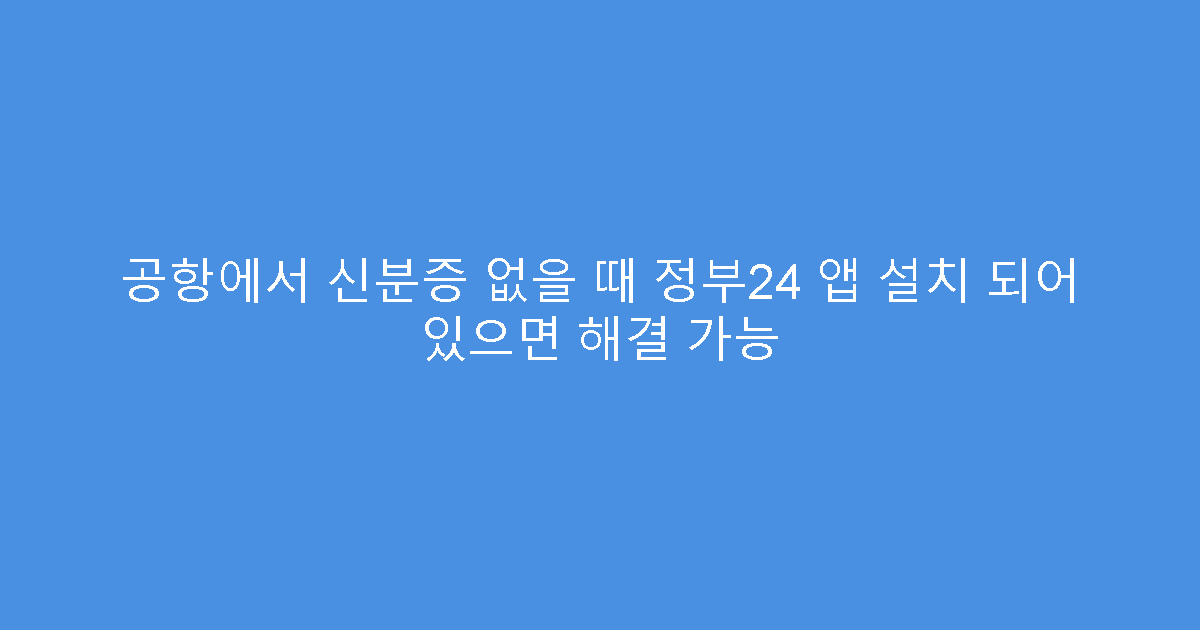 공항에서 신분증 없을 때 정부24 앱 설치 되어 있으면 해결 가능