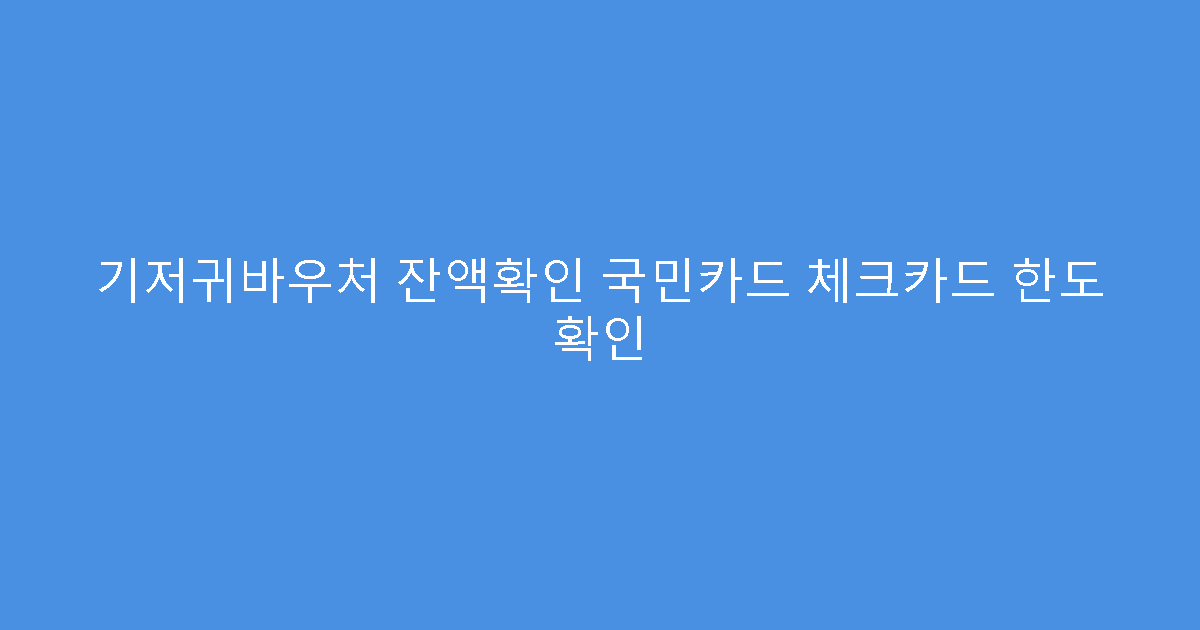 기저귀바우처 잔액확인 국민카드 체크카드 한도 확인