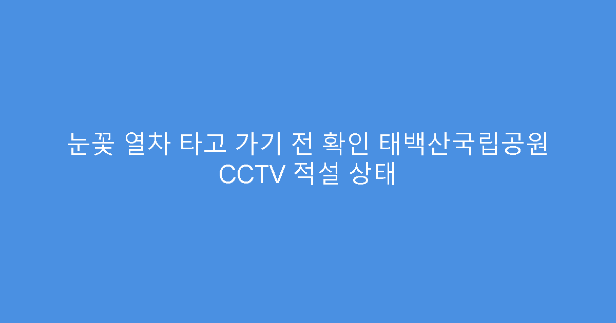 눈꽃 열차 타고 가기 전 확인 태백산국립공원 CCTV 적설 상태