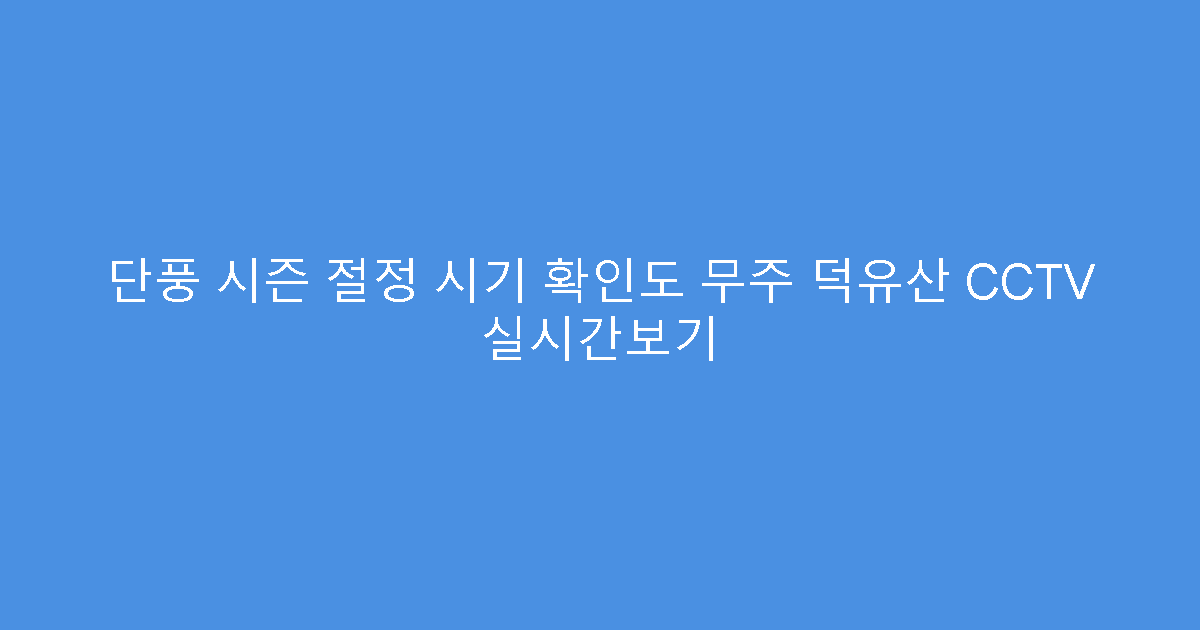 단풍 시즌 절정 시기 확인도 무주 덕유산 CCTV 실시간보기