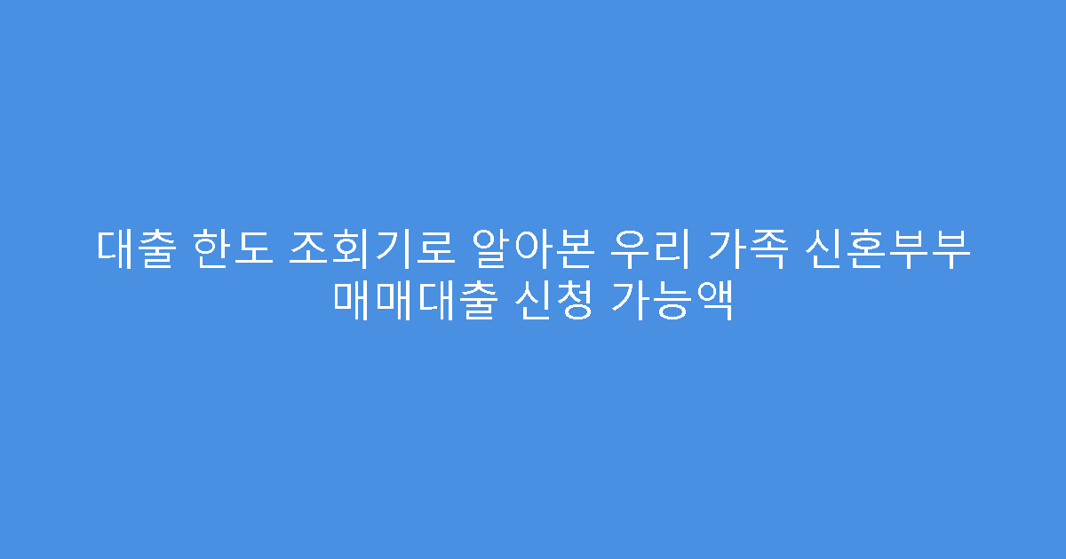 대출 한도 조회기로 알아본 우리 가족 신혼부부 매매대출 신청 가능액