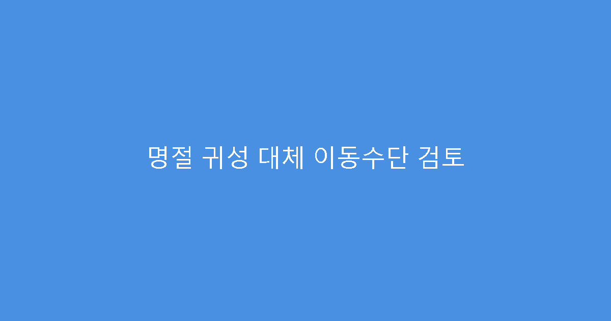 명절 귀성 대체 이동수단 검토