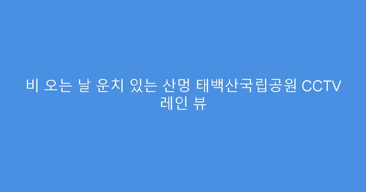 비 오는 날 운치 있는 산멍 태백산국립공원 CCTV 레인 뷰