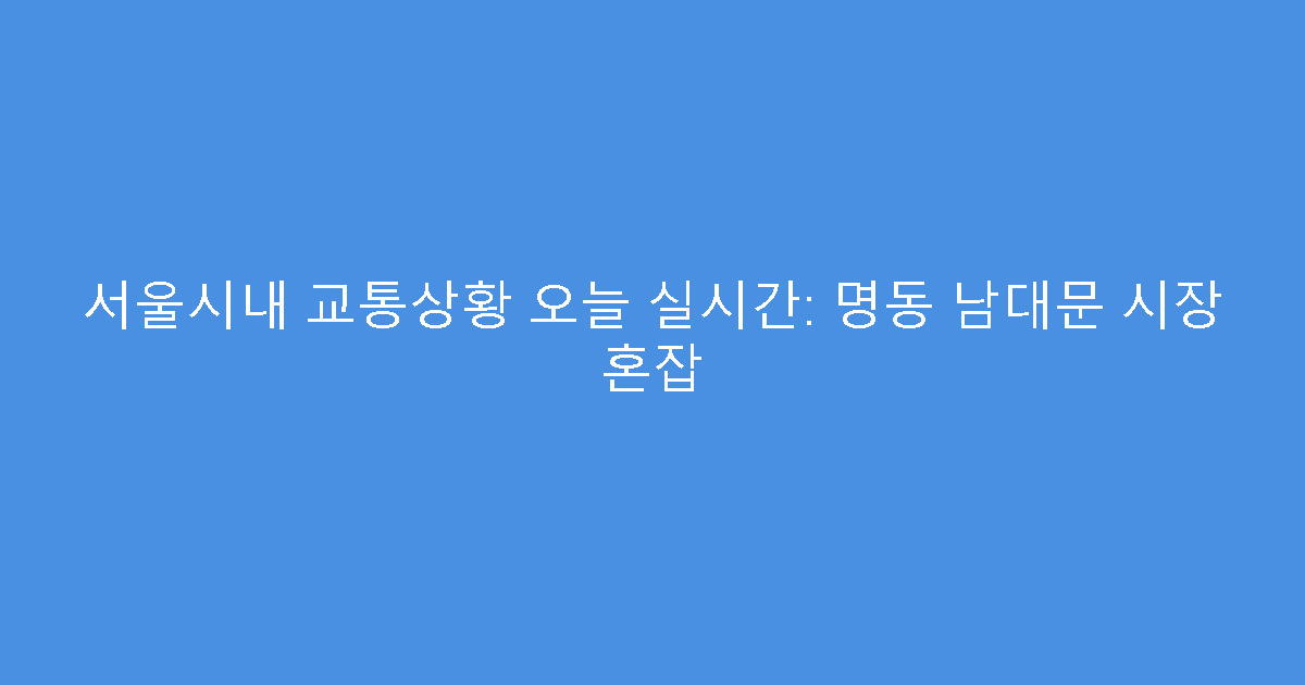 서울시내 교통상황 오늘 실시간: 명동 남대문 시장 혼잡