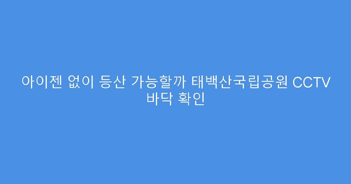 아이젠 없이 등산 가능할까 태백산국립공원 CCTV 바닥 확인