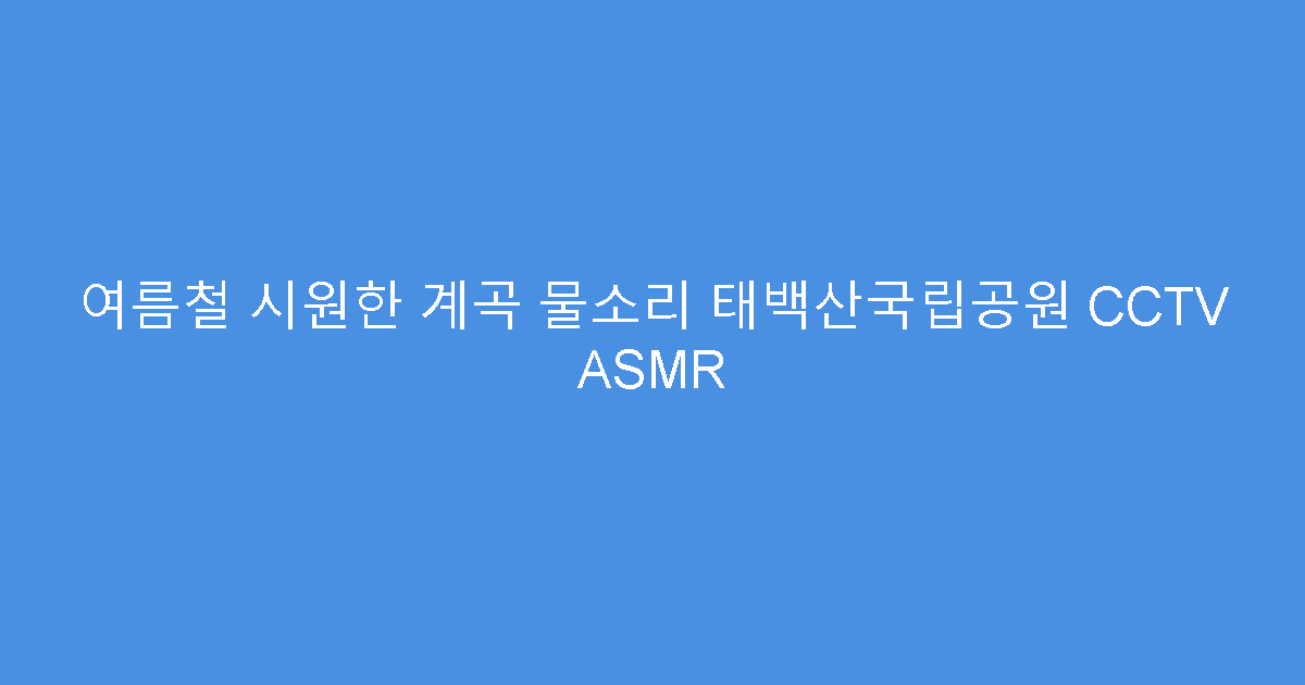 여름철 시원한 계곡 물소리 태백산국립공원 CCTV ASMR