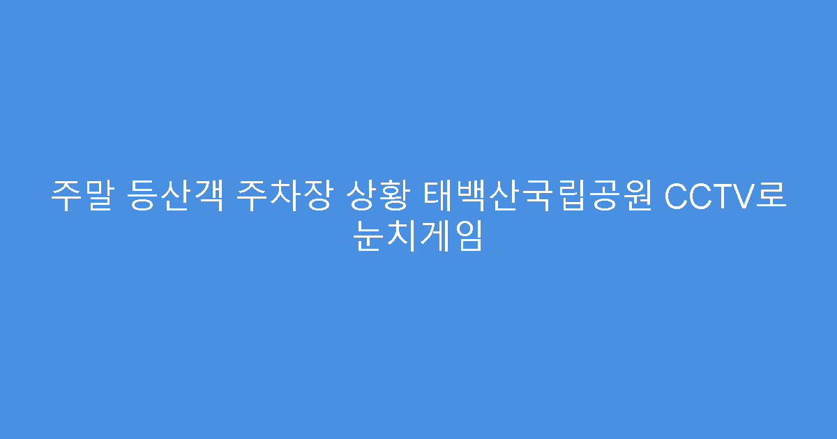 주말 등산객 주차장 상황 태백산국립공원 CCTV로 눈치게임
