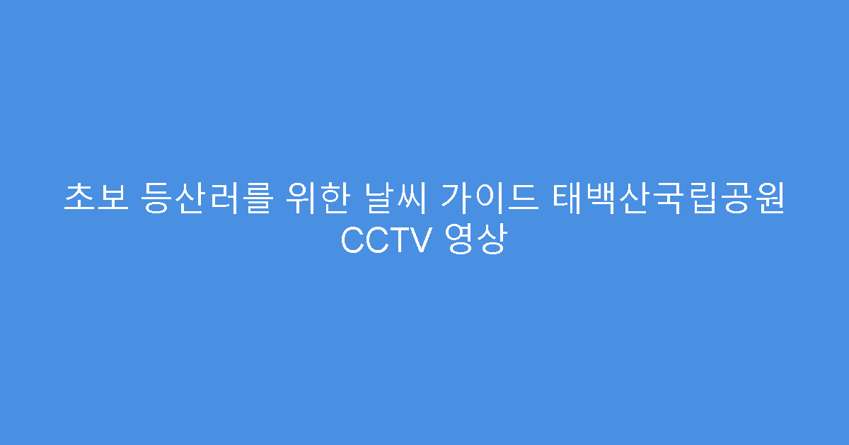 초보 등산러를 위한 날씨 가이드 태백산국립공원 CCTV 영상