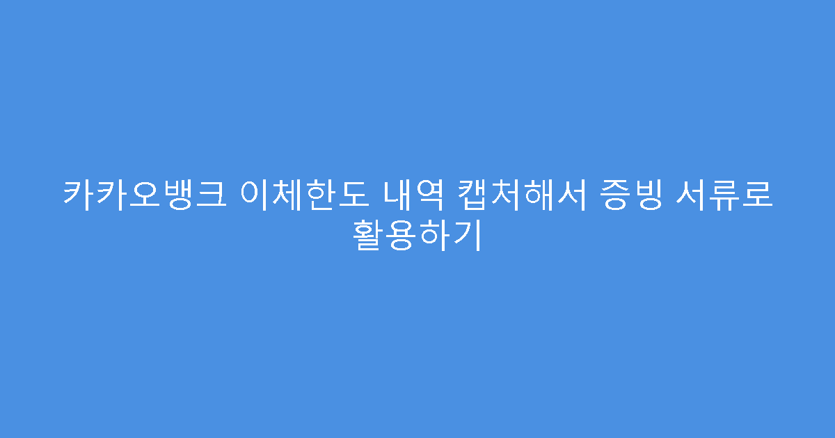 카카오뱅크 이체한도 내역 캡처해서 증빙 서류로 활용하기