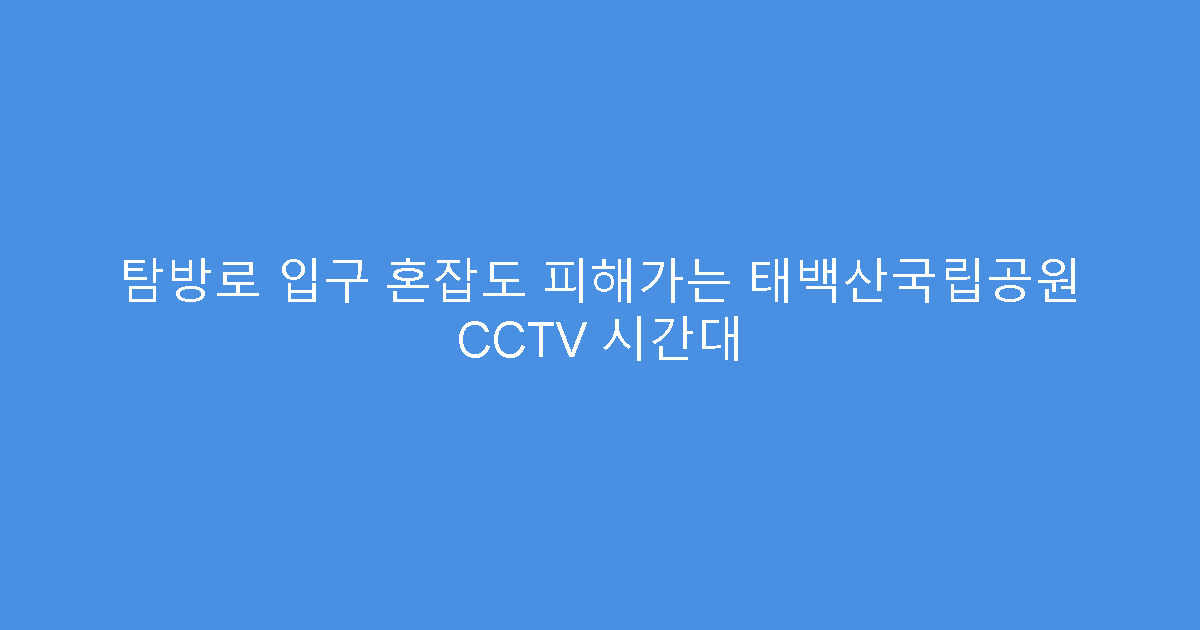 탐방로 입구 혼잡도 피해가는 태백산국립공원 CCTV 시간대