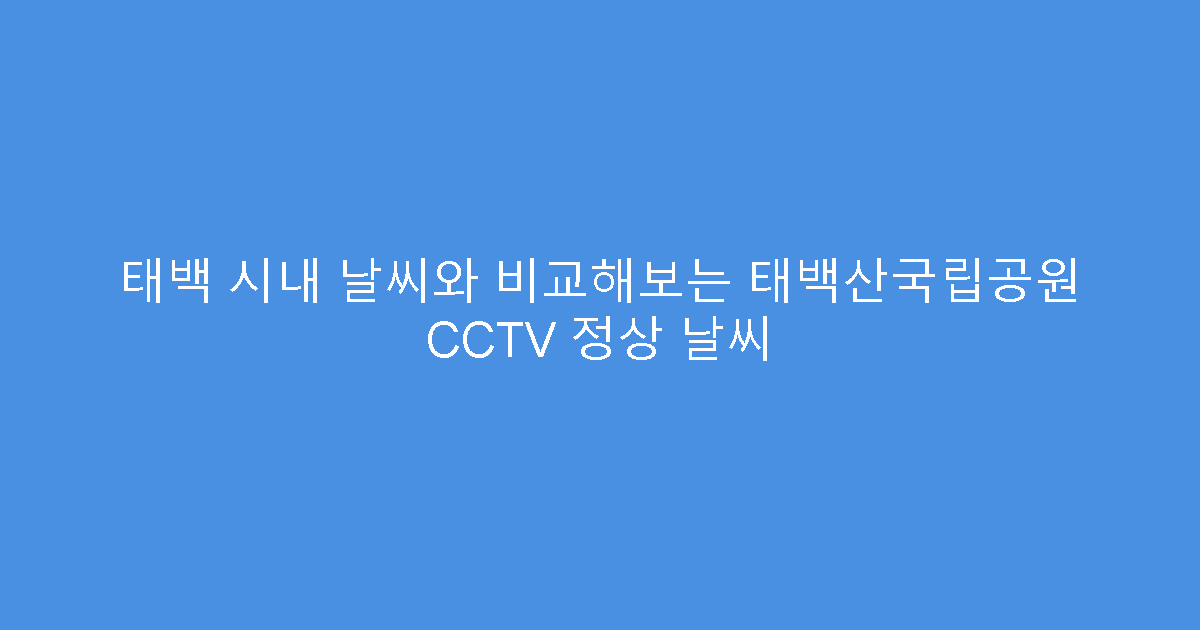 태백 시내 날씨와 비교해보는 태백산국립공원 CCTV 정상 날씨