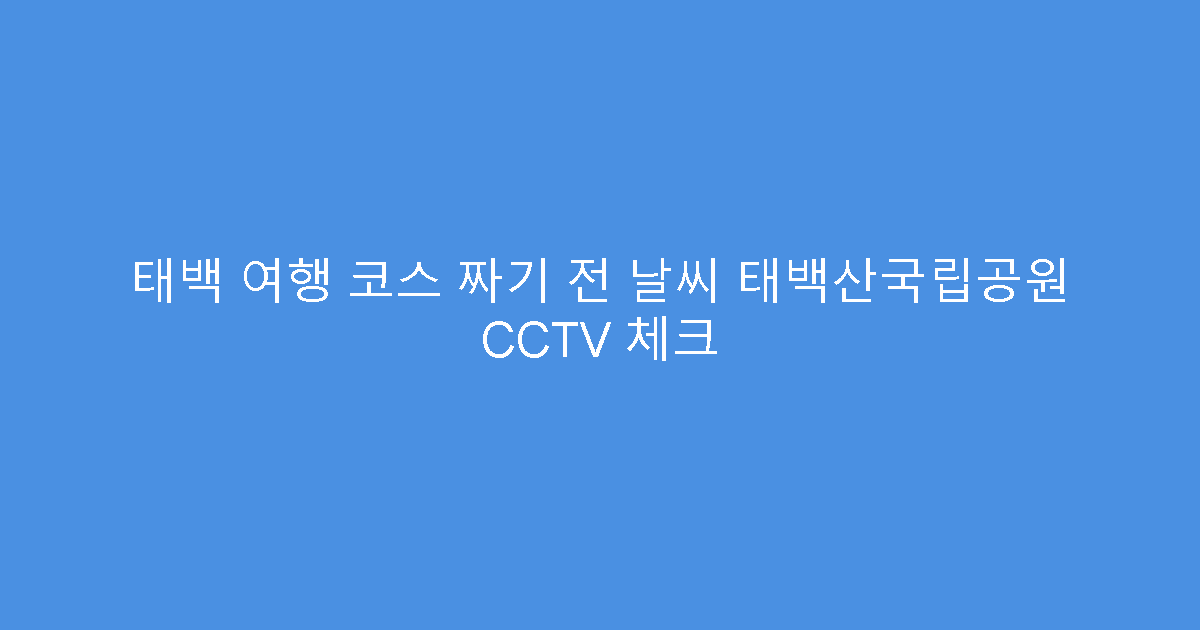 태백 여행 코스 짜기 전 날씨 태백산국립공원 CCTV 체크