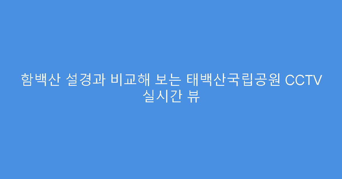 함백산 설경과 비교해 보는 태백산국립공원 CCTV 실시간 뷰