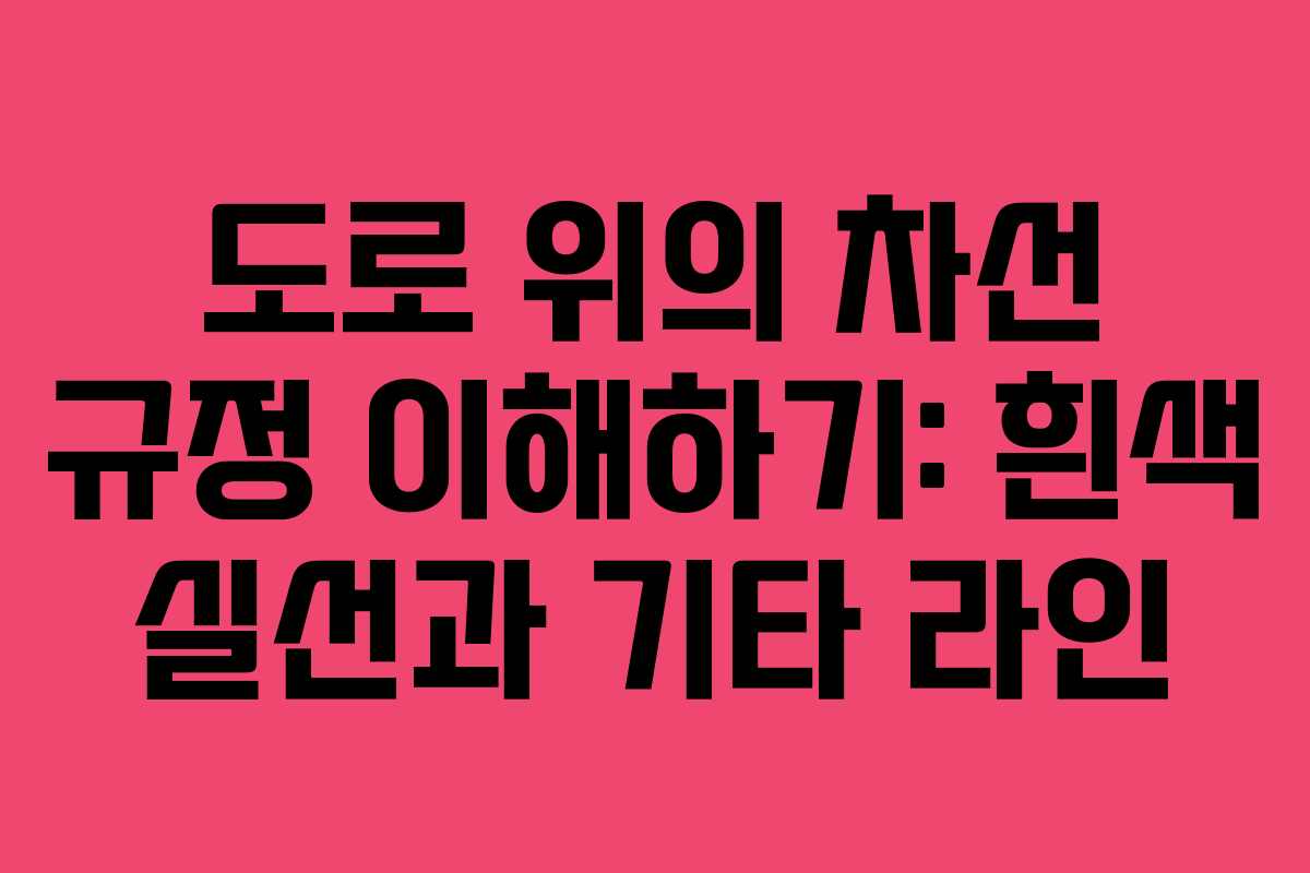도로 위의 차선 규정 이해하기: 흰색 실선과 기타 라인
