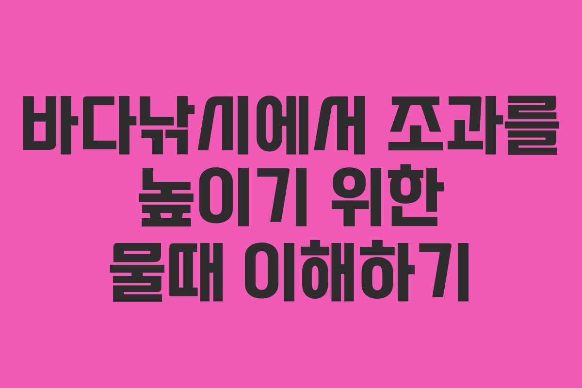 바다낚시에서 조과를 높이기 위한 물때 이해하기