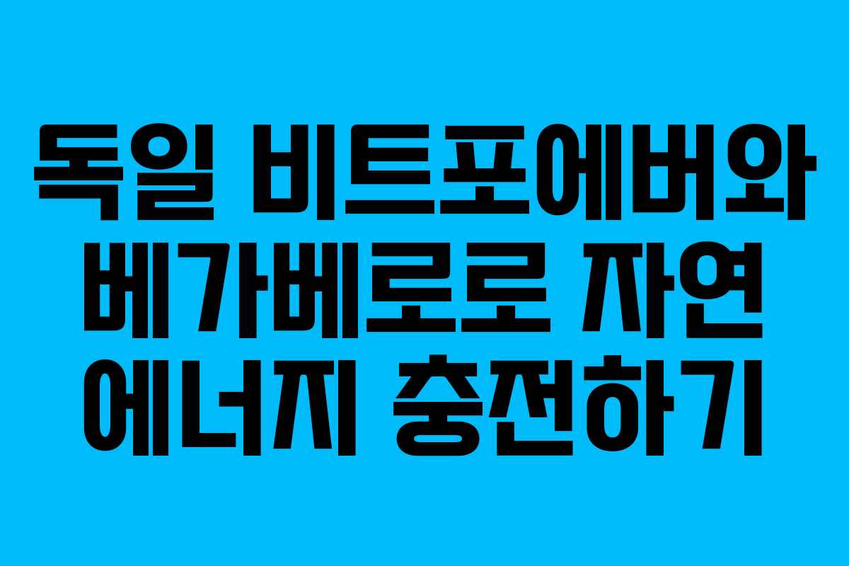 독일 비트포에버와 베가베로로 자연 에너지 충전하기