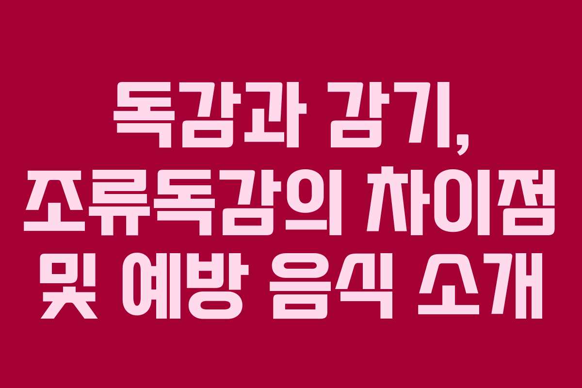 독감과 감기, 조류독감의 차이점 및 예방 음식 소개
