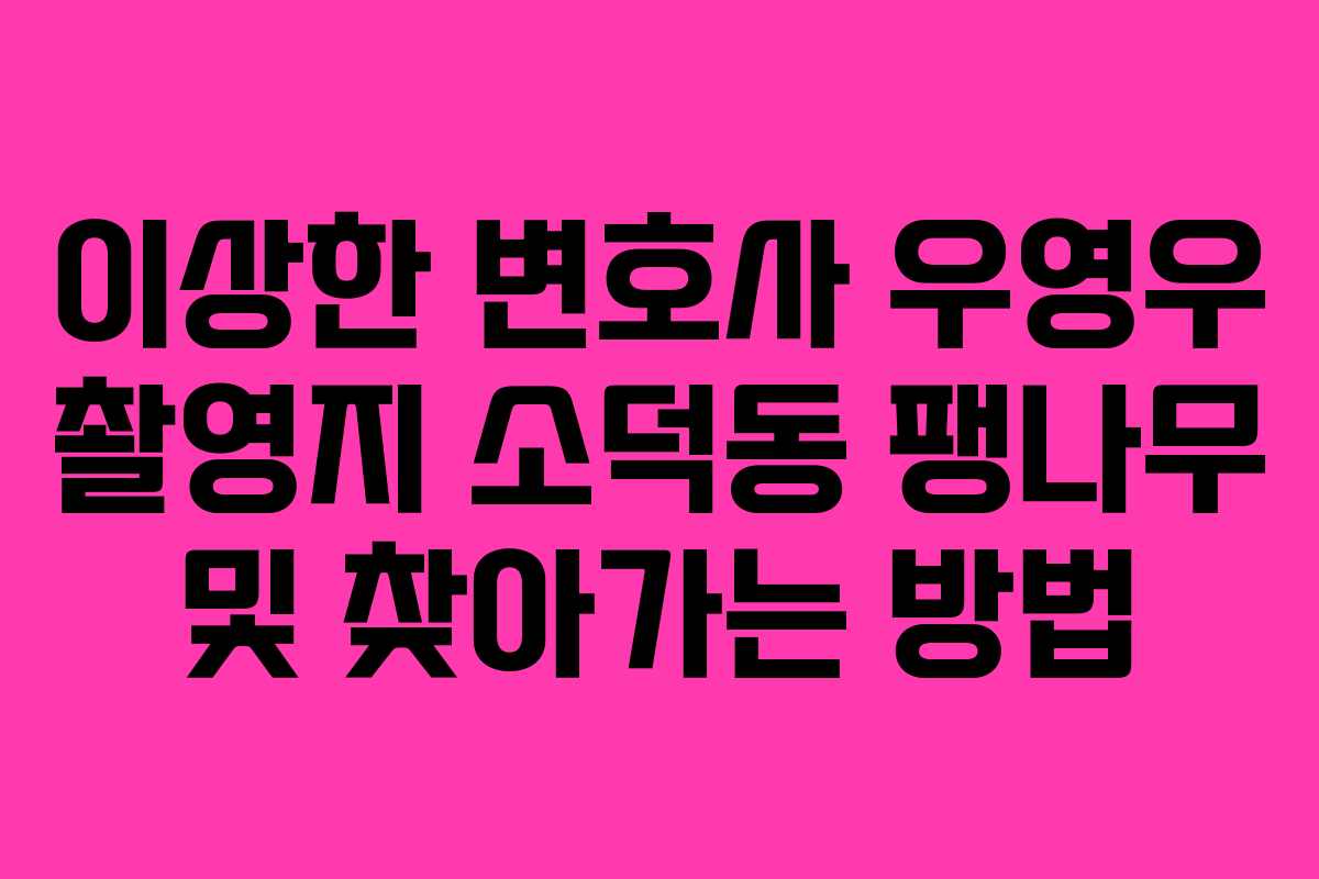 이상한 변호사 우영우 촬영지 소덕동 팽나무 및 찾아가는 방법