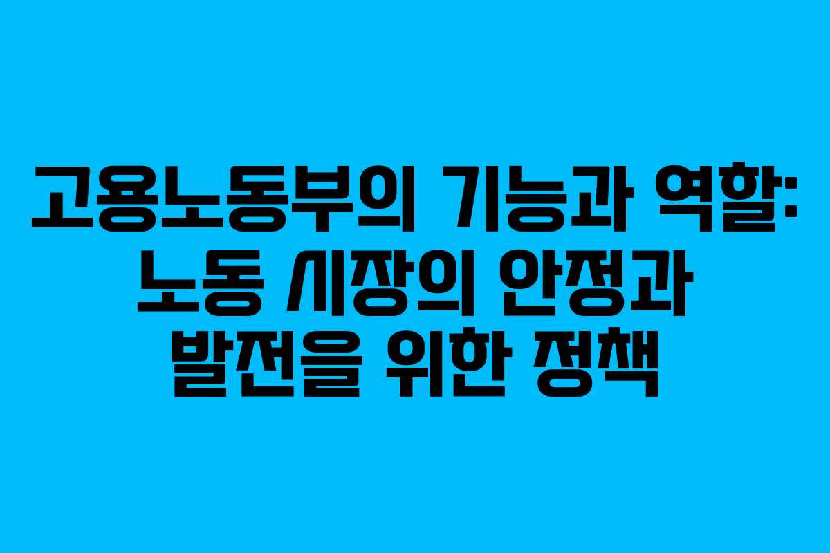 고용노동부의 기능과 역할: 노동 시장의 안정과 발전을 위한 정책