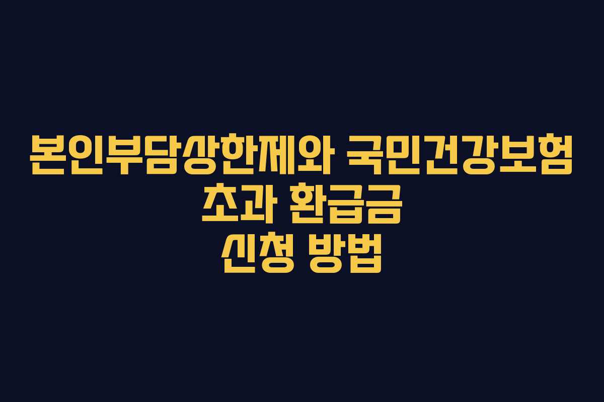 본인부담상한제와 국민건강보험 초과 환급금 신청 방법