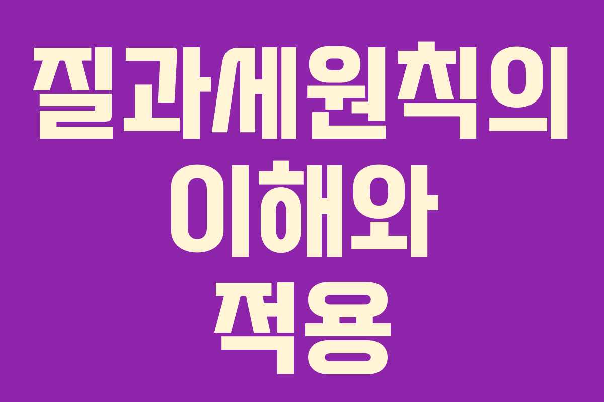 질과세원칙의 이해와 적용