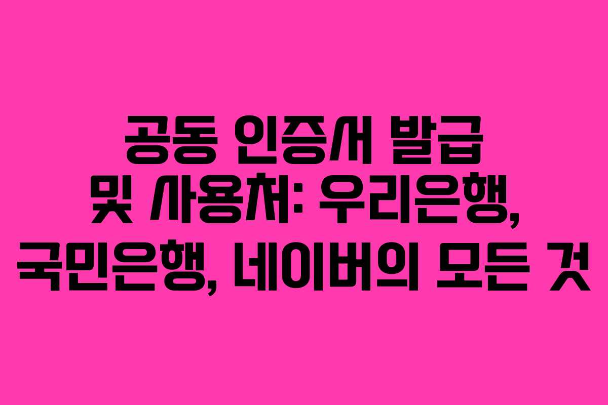 공동 인증서 발급 및 사용처: 우리은행, 국민은행, 네이버의 모든 것