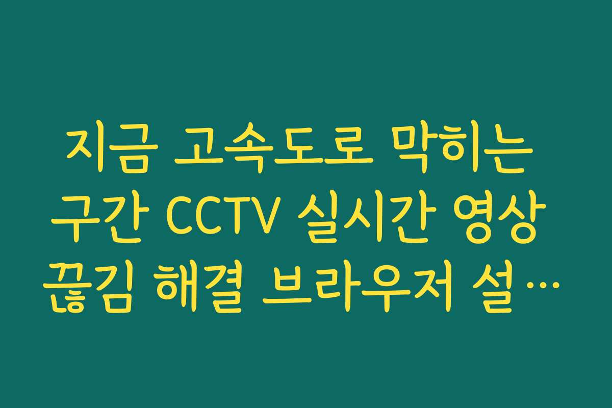지금 고속도로 막히는 구간 CCTV 실시간 영상 끊김 해결 브라우저 설정 팁